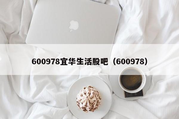 600978宜华生活股吧（600978）