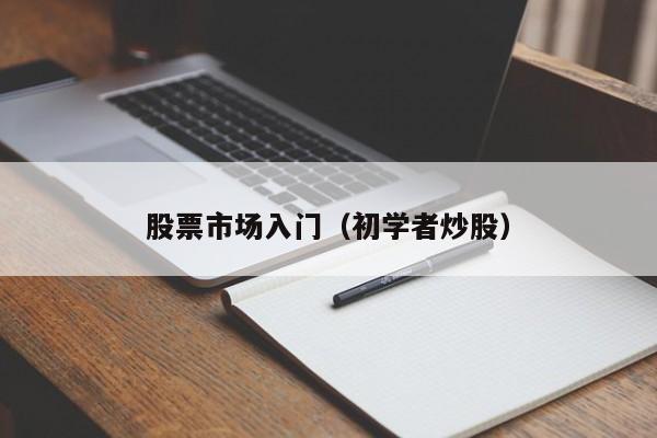 股票市场入门（初学者炒股）