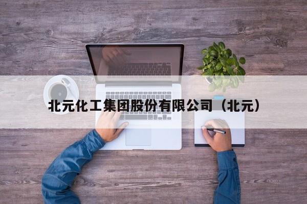 北元化工集团股份有限公司（北元）