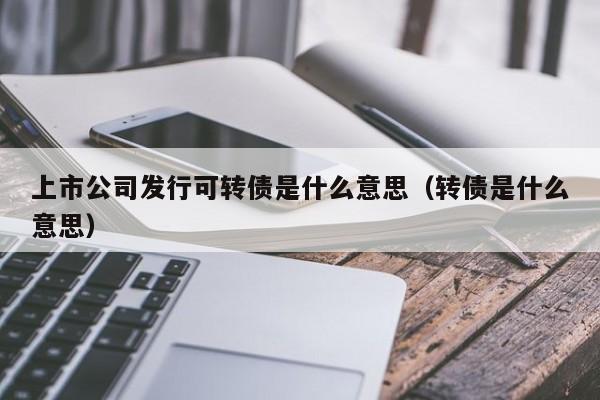 上市公司发行可转债是什么意思（转债是什么意思）