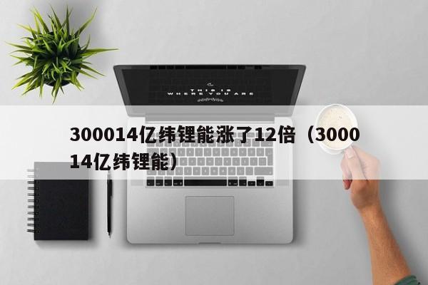 300014亿纬锂能涨了12倍（300014亿纬锂能）