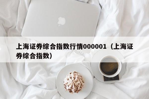 上海证券综合指数行情000001（上海证券综合指数）