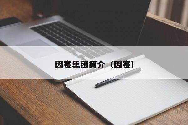 因赛集团简介（因赛）