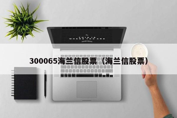 300065海兰信股票（海兰信股票）