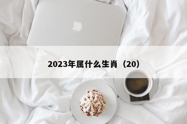 2023年属什么生肖（20）