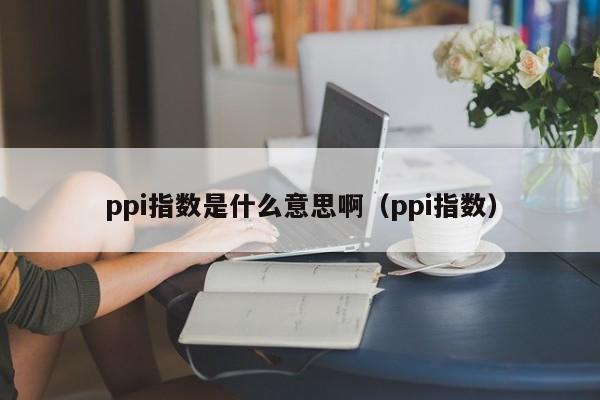 ppi指数是什么意思啊（ppi指数）