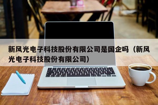 新风光电子科技股份有限公司是国企吗（新风光电子科技股份有限公司）