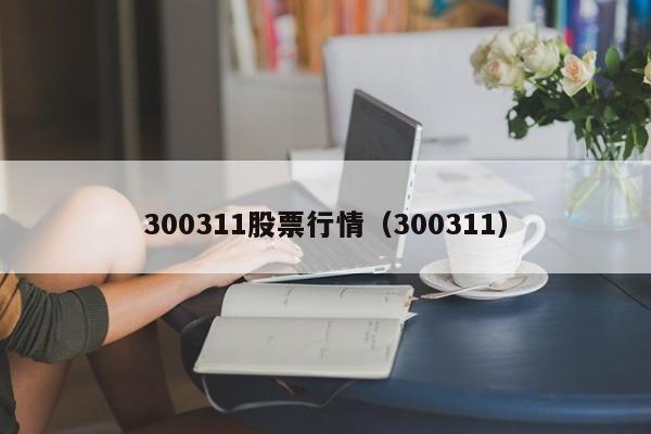 300311股票行情（300311）