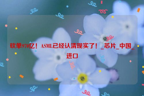 砍单970亿！ASML已经认清现实了！_芯片_中国_进口