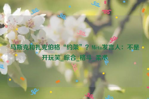 马斯克和扎克伯格“约架”？Meta发言人：不是开玩笑_综合_格斗_柔术