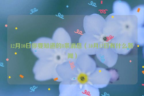 12月10日你要知道的8条消息（10月12日有什么新闻）