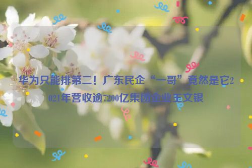 华为只能排第二！广东民企“一哥”竟然是它2021年营收逾7200亿集团企业王文银