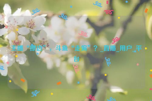 主播“擦边”，斗鱼“走偏”？_直播_用户_平台