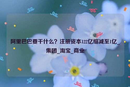 阿里巴巴要干什么？注册资本122亿缩减至1亿_集团_淘宝_商业