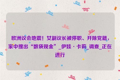 欧洲议会地震！女副议长被停职、开除党籍，家中搜出“数袋现金”_伊娃·卡莉_调查_正在进行