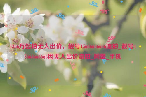 1366万起拍无人出价，靓号15666666666流拍_靓号15666666666因无人出价流拍_阿里_手机