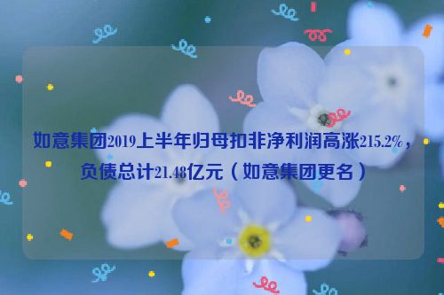 如意集团2019上半年归母扣非净利润高涨215.2%，负债总计21.48亿元（如意集团更名）