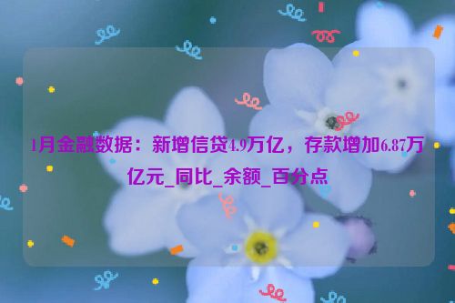 1月金融数据：新增信贷4.9万亿，存款增加6.87万亿元_同比_余额_百分点