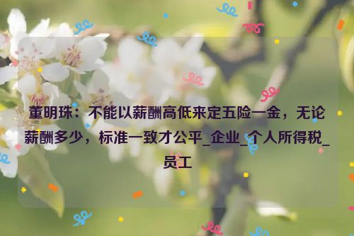 董明珠：不能以薪酬高低来定五险一金，无论薪酬多少，标准一致才公平_企业_个人所得税_员工