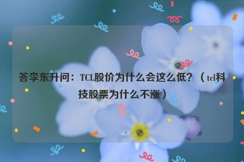 答李东升问：TCL股价为什么会这么低？（tcl科技股票为什么不涨）