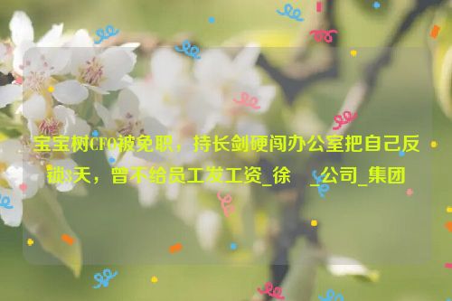 宝宝树CFO被免职，持长剑硬闯办公室把自己反锁3天，曾不给员工发工资_徐翀_公司_集团