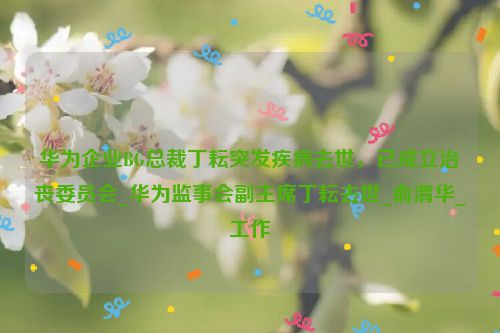 华为企业BG总裁丁耘突发疾病去世，已成立治丧委员会_华为监事会副主席丁耘去世_俞渭华_工作