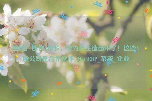 重磅！断供3年多，华为自主造出来了！这些A股公司是合作伙伴_MetaERP_系统_企业