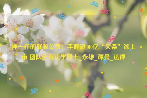 神一样的催收公司：手握超400亿“欠条”欲上市 团队还有法学博士_永雄_谭曼_法律