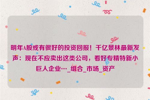 明年A股或有很好的投资回报！千亿景林最新发声：现在不应卖出这类公司，看好专精特新小巨人企业…_组合_市场_资产