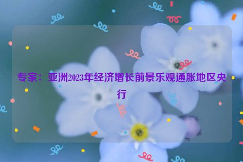 专家：亚洲2023年经济增长前景乐观通胀地区央行