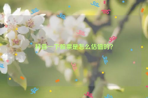 科普一下股票是怎么估值的？