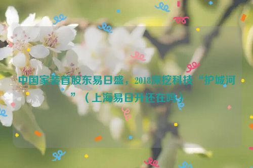 中国家装首股东易日盛，2018深挖科技“护城河”（上海易日升还在吗）