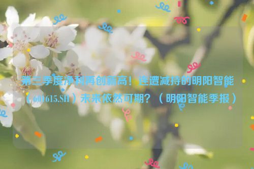 第三季度净利再创新高！连遭减持的明阳智能（601615.SH）未来依然可期？（明阳智能季报）