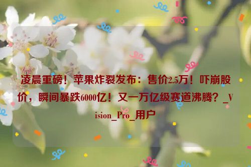 凌晨重磅！苹果炸裂发布：售价2.5万！吓崩股价，瞬间暴跌6000亿！又一万亿级赛道沸腾？_Vision_Pro_用户