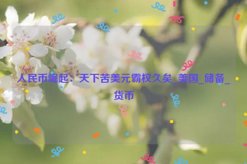 人民币崛起：天下苦美元霸权久矣_美国_储备_货币