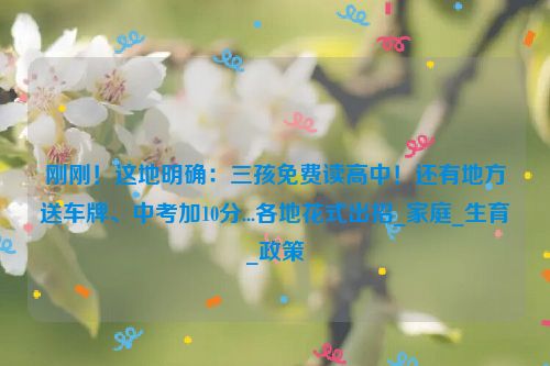 刚刚！这地明确：三孩免费读高中！还有地方送车牌、中考加10分...各地花式出招_家庭_生育_政策