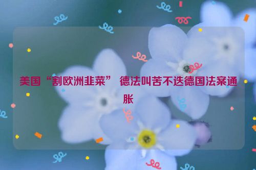 美国“割欧洲韭菜” 德法叫苦不迭德国法案通胀