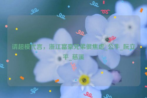 请超模代言，浙江富豪兄弟很焦虑_公牛_阮立平_慈溪