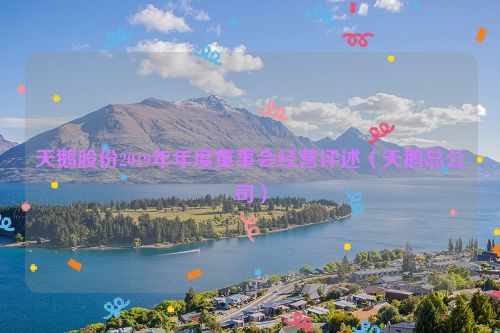 天鹅股份2019年年度董事会经营评述（天鹅总公司）