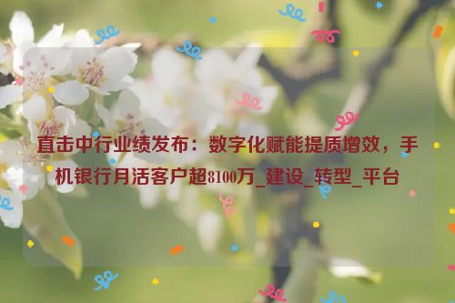 直击中行业绩发布：数字化赋能提质增效，手机银行月活客户超8100万_建设_转型_平台