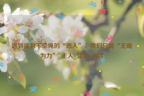 遇到遛狗不牵绳的“恶人”，我们只能“无能为力”_主人_女童_事件