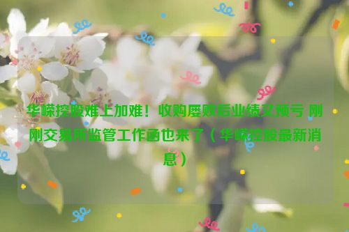 华嵘控股难上加难！收购屡败后业绩又预亏 刚刚交易所监管工作函也来了（华嵘控股最新消息）