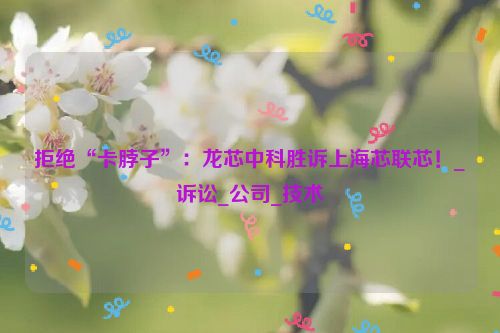 拒绝“卡脖子”：龙芯中科胜诉上海芯联芯！_诉讼_公司_技术