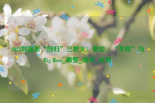 2023刘强东“回归”三把火：低价、“平权”与Big Boss_调整_组织_业务