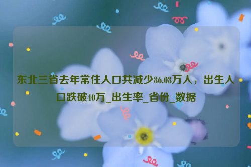 东北三省去年常住人口共减少86.08万人，出生人口跌破40万_出生率_省份_数据