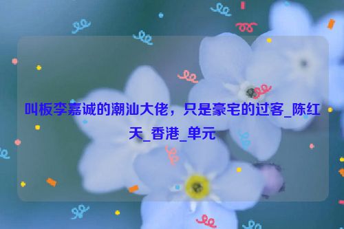 叫板李嘉诚的潮汕大佬，只是豪宅的过客_陈红天_香港_单元