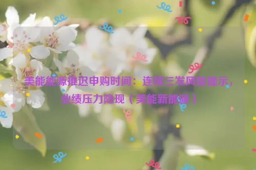 美能能源推迟申购时间：连续三发风险提示，业绩压力隐现（美能新能源）