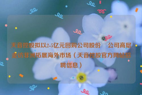 天音控股拟以2-5亿元回购公司股份    公司高层走访非洲拓展海外市场（天音控股官方网站招聘信息）