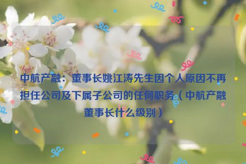 中航产融：董事长姚江涛先生因个人原因不再担任公司及下属子公司的任何职务（中航产融董事长什么级别）