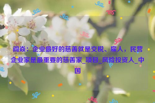 阎焱：企业最好的慈善就是交税、雇人，民营企业家是最重要的慈善家_项目_风险投资人_中国